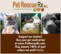 They also appear in other related business categories including humane societies, animal removal services, and animal shows & organizations. Donate Verona Street Animal Society