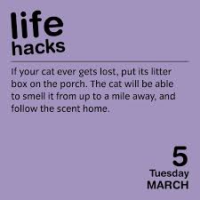 They use that weakness to gain access to files and personal information that is stored on your computer. Life Hacks 2019 Day To Day Calendar Bradford Keith Amazon De Bucher