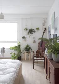 Old Files Hanging Plants Indoor Bedroom Plants Home Bedroom