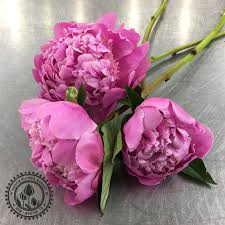 Maybe you would like to learn more about one of these? Austin Same Day Flower And Gift Delivery