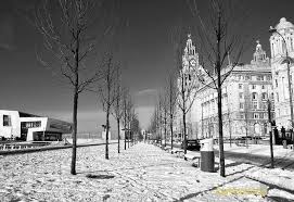 2,229 likes · 4 talking about this · 899 were here. Liver Building Liverpool England Winter Snow Pictures Snow