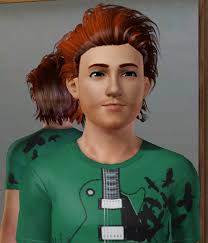 The Children of Sunset Valley