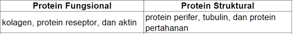 Maybe you would like to learn more about one of these? Contoh Protein Fungsional Dan Protein Struktural D
