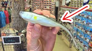 At mouth of great wicomico river) protected waters (hurricane hole with direct access to the bay) slips up to 65 feet. This Tackle Shop Has Everything Bait Shop Walk Thru Youtube