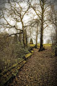 Rouken Glen Park Glasgow