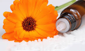 Homeopathy - Vienna Female Medcare