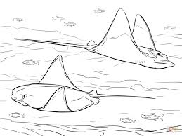 Stingray coloring pages are a fun way for kids of all ages to develop creativity, focus, motor skills and color recognition. Top 10 Printable Sting Ray Coloring Pages