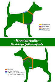 Die Besten Hundegeschirre Fur Deinen Hund In Der Passenden Grosse Finden In 2020 Hundegeschirr Hunde Geschirr Hund