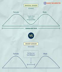Temos demandas na sociedade tanto quanto outras pessoas trans. O Espectro De Genero Um Cientista Explica Por Que Genero Nao E Binario