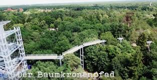 Hier kann verborgenes entdeckt und festgehalten werden. Making Of Baumkronenpfad Beelitz Heilstatten Berlin Love