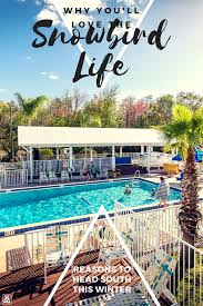 Why You Ll Love The Snowbird Life Koa Camping Pool Photos Pool Images Pool Picture