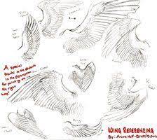 The wings, when folded, are put under the mantle—feathers that are a part of the bird's body. Tutorials On Folded Wings Deviantart Angel Wings Drawing Wings Drawing Folded Wings