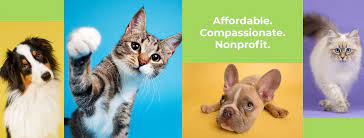 Maybe you would like to learn more about one of these? Mission Animal Hospital Home Facebook