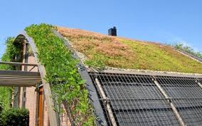 Grundach Systeme Privatkunden Zinco Landschaftsdesign Grundach Aufbau Dachbegrunung