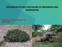 Perlindungan flora dan fauna di tingkat global. Ppt Kerusakan Flora Dan Fauna Dan Usaha Konsrvasi Alam