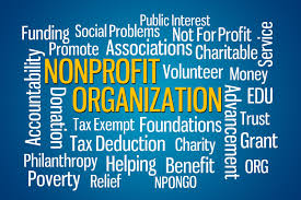 Not For Profit Definition