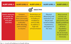 .are cracking down on lockdown violators. Pdf The Effect Of Lockdown Regulations On Sars Cov 2 Infectivity In Gauteng Province South Africa Semantic Scholar