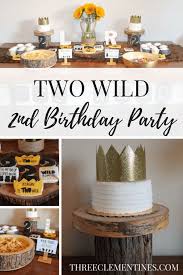 Theme 2nd Birthday Party Ideas For Boys Two Wild Second Birthday Party Three Clementines Wild Birthday Party Kids Themed Birthday Parties Toddler Birthday Party