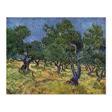 Vincent Van Gogh Olive Grove Postcard Zazzle Com Vincent Van Gogh Van Gogh Paintings Vincent Van Gogh Paintings