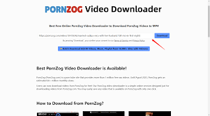 Pornzog dowloader