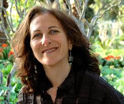 Debra Amerson Design