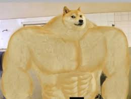 Nov 02, 2020 · creepy pasta, shiba inu, such doge, super shibe, shibe, animal meme, super dog meme, yellow dog confused, shocked, just like many other instances in the meme world, doge is an intentional misspelling of the word dog. Swole Doge Template Swole Doge Know Your Meme