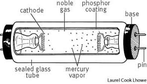 Fluorescent Lamp Define Fluorescent Lamp At Dictionary Com Fluorescent Lamp Fluorescent Bulb Fluorescent