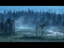 Finnish Folk Music Forests Of Finland Youtube Finland Lost In The Woods Folk Music