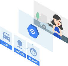 Training Google Inception For Custom Images In Less Than 5 Minutes Custom Images Deep Learning Visions