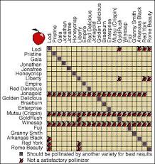 Apple Pollination Chart Nurseries In The Pacific Northwest