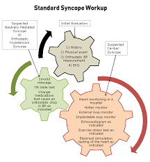 Pin On Nervous System Insight