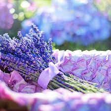 How To Make Lavender Extract For Baking Restore Create Renovate Recipe Lavender Oil Benefits Lavender Oil For Hair Lavender