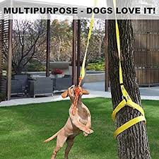 Xiaz Retractable Interactive Dog Toy Rope Tug Of War Toys For Medium Or Large Dogs Outdoor Hanging Exercise Play Interactive Dog Toys Dog Toys Dog Playground