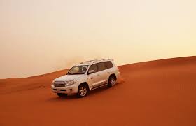 Image result for desert safari dubai