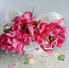 صور صباح الورد أجمل صور صباحك عسل مجلة رجيم good morning flowers morning greeting good morning wishes