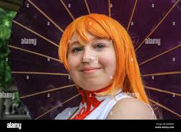 Anime north hi-res stock photography and images