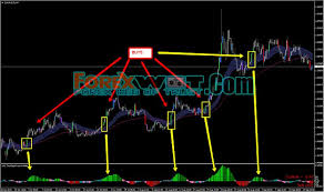 Best Forex Trading Software Forex Trading Systems And