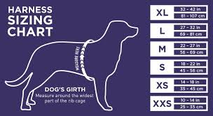 28 All Inclusive Sizing Chart For Dogs