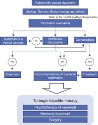 Gender Dysphoria An Overview Sciencedirect
