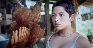 Arieles 2022: «Noche de fuego» acapara las nominaciones a los premios del  cine mexicano