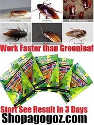 New port richey pest controlnew port richey pestcontrol services will help you identify, treat and manage pests year round. 13 How To Get Rid Of Cockroaches Fast At Natural Home Remedies Ideas Cockroaches Natural Home Remedies How To Get Rid