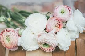 We carry a wide range of perennials to fill your garden with colour and interest. Trending Statement Wedding Flowers 2019