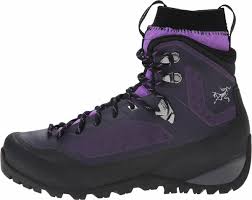 Arcteryx Bora Mid Gtx