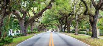To show you the places in florida that would eat up a big part of after we crunched all the numbers, we were left with this set of the most expensive places to raise a family in the sunshine state and just so you can better understand how the cost of living index works. Miami Moving Guide Family Friendly Neighborhoods In Miami Containing The Chaos