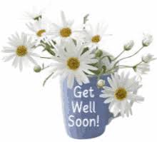 Feel better animated image &gifs. Get Well Flowers Gifs Tenor