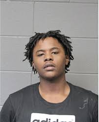 ᐅ Illinois Criminal Records 2009-2025