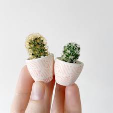 A cactus shouldn't be watered on schedule. Pros Answer How Often Should I Water My Cactus Purewow