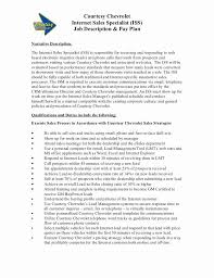 Sales Manager Job Description Resume New Car Dealer Job Description Example