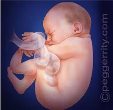 We did not find results for: If You Are Pregnant Information On Fetal Development Abortion And Alternatives Woman S Right To Know Act