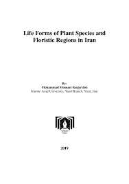 Image result for Fuirena pachyrrhiza